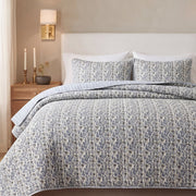 Baby Blue Eyes Quilt