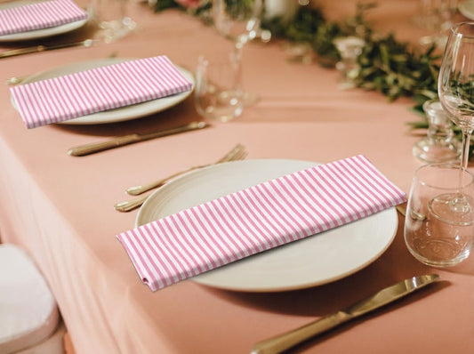 Taffy Pink Stripe Embroidery Napkins Ridhi Block Print