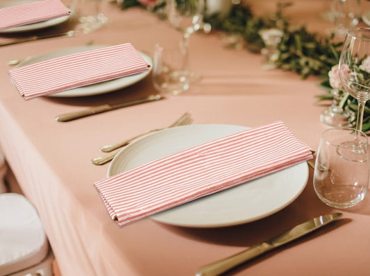 Blush Pink Stripe Embroidery Napkins Ridhi Block Print