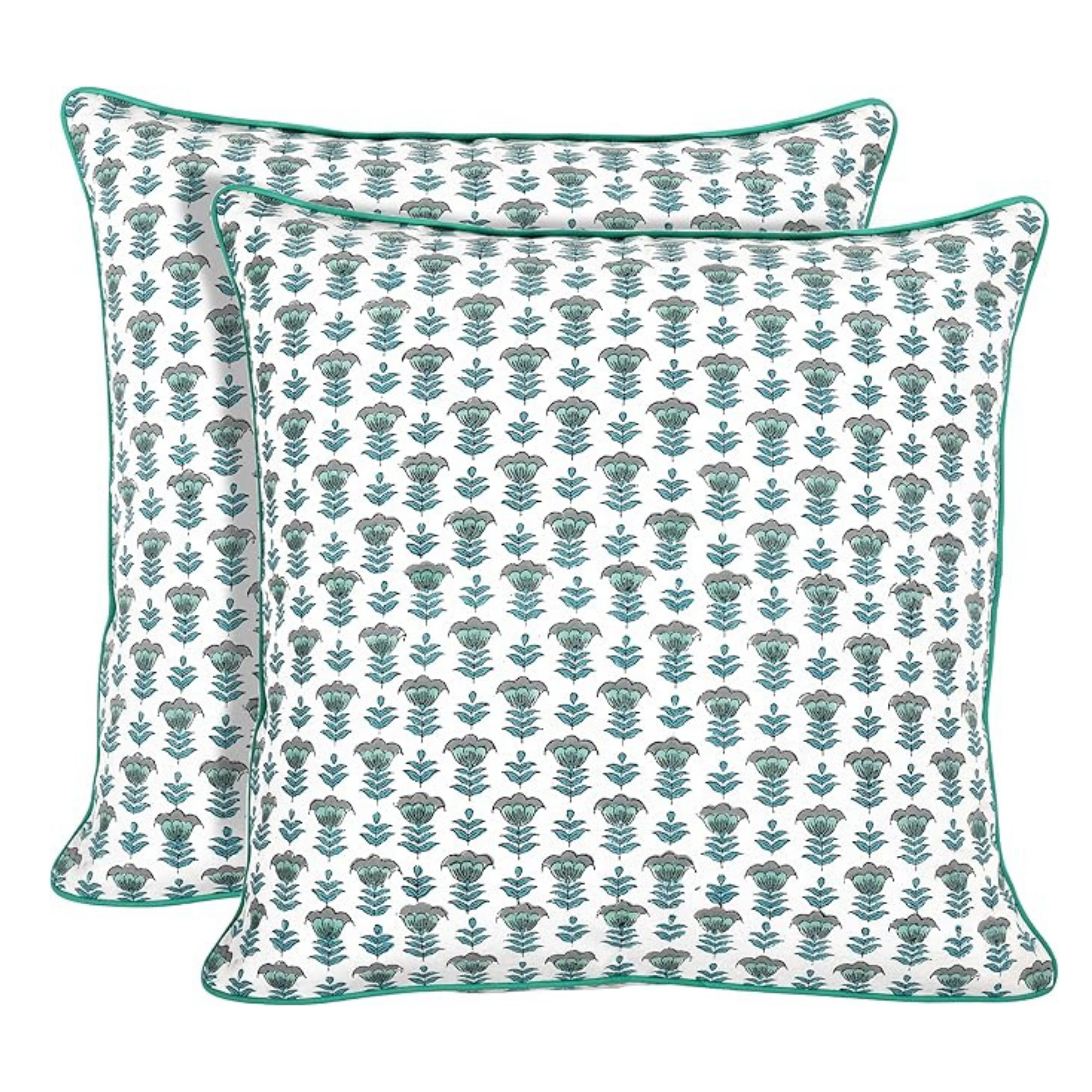 Two floral-patterned pillows on a white background