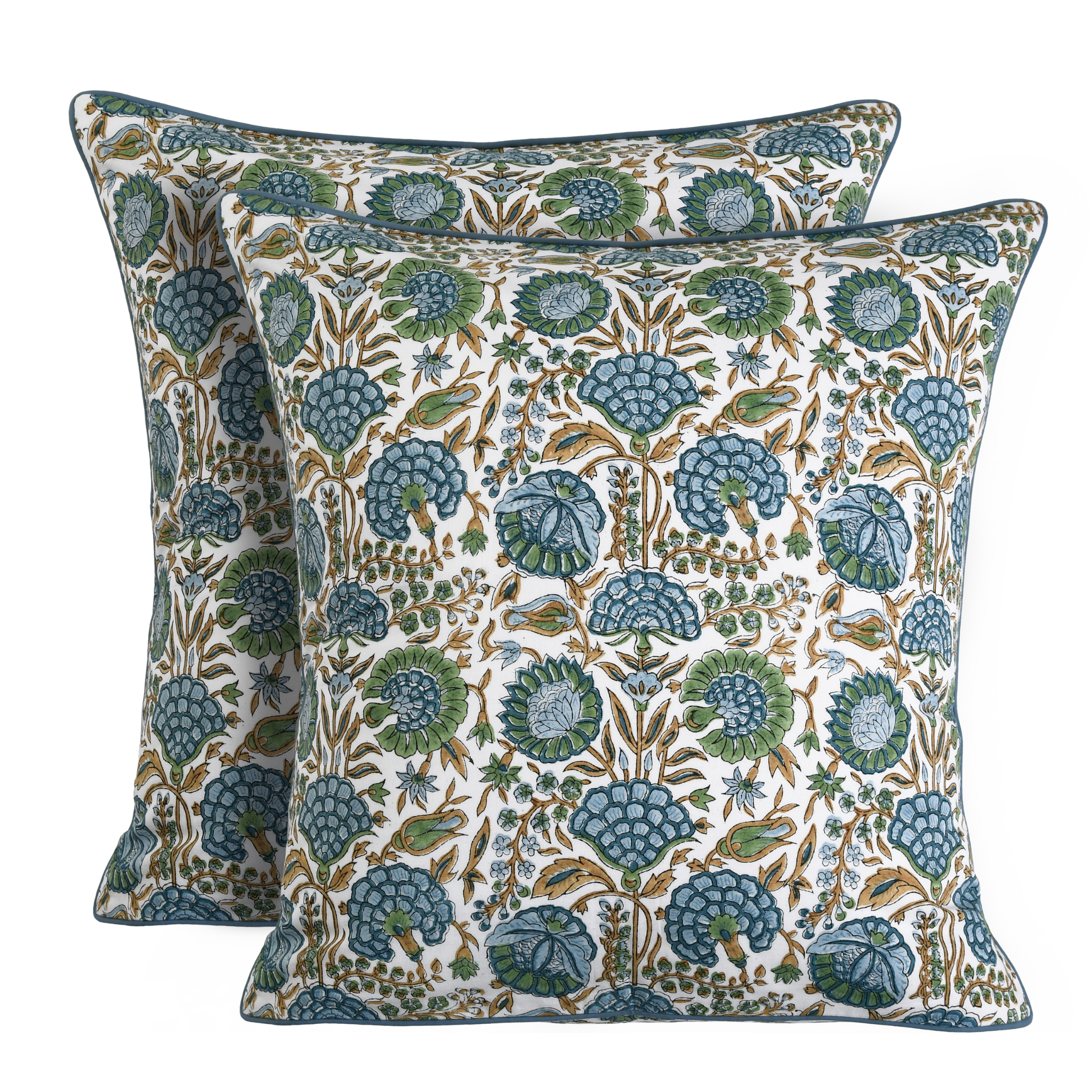 Two decorative pillows with floral pattern on a white background