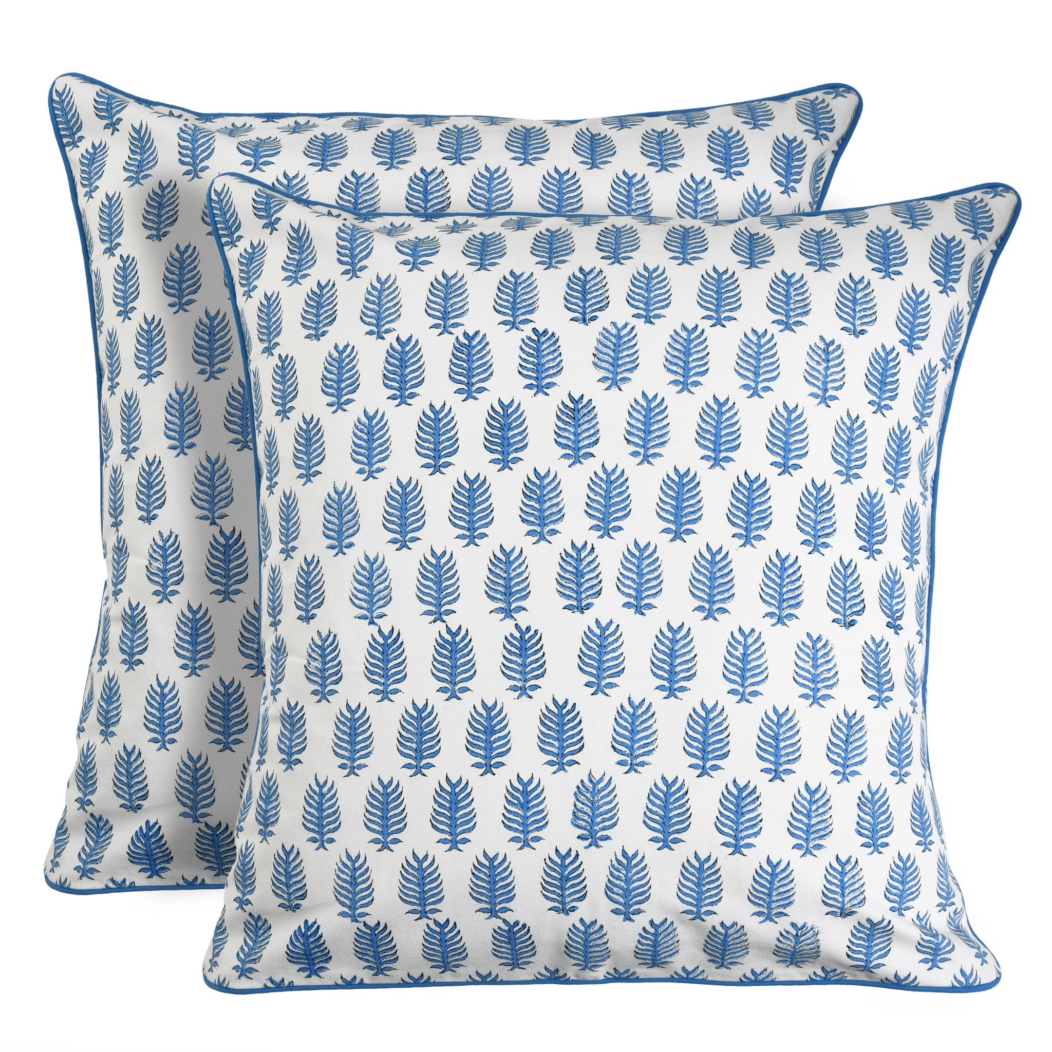 Two blue and white patterned pillows on a white background