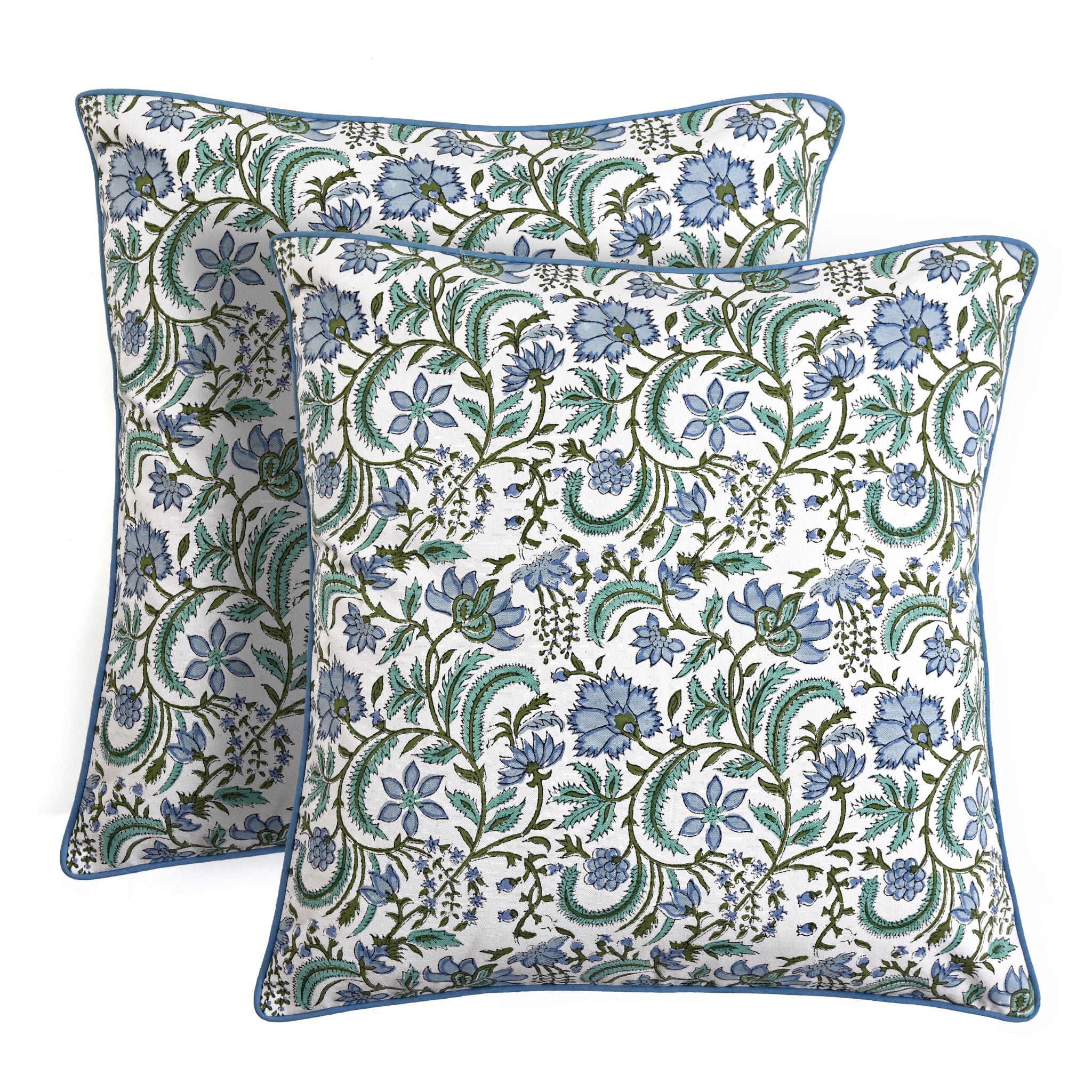 Two floral patterned pillows on a white background