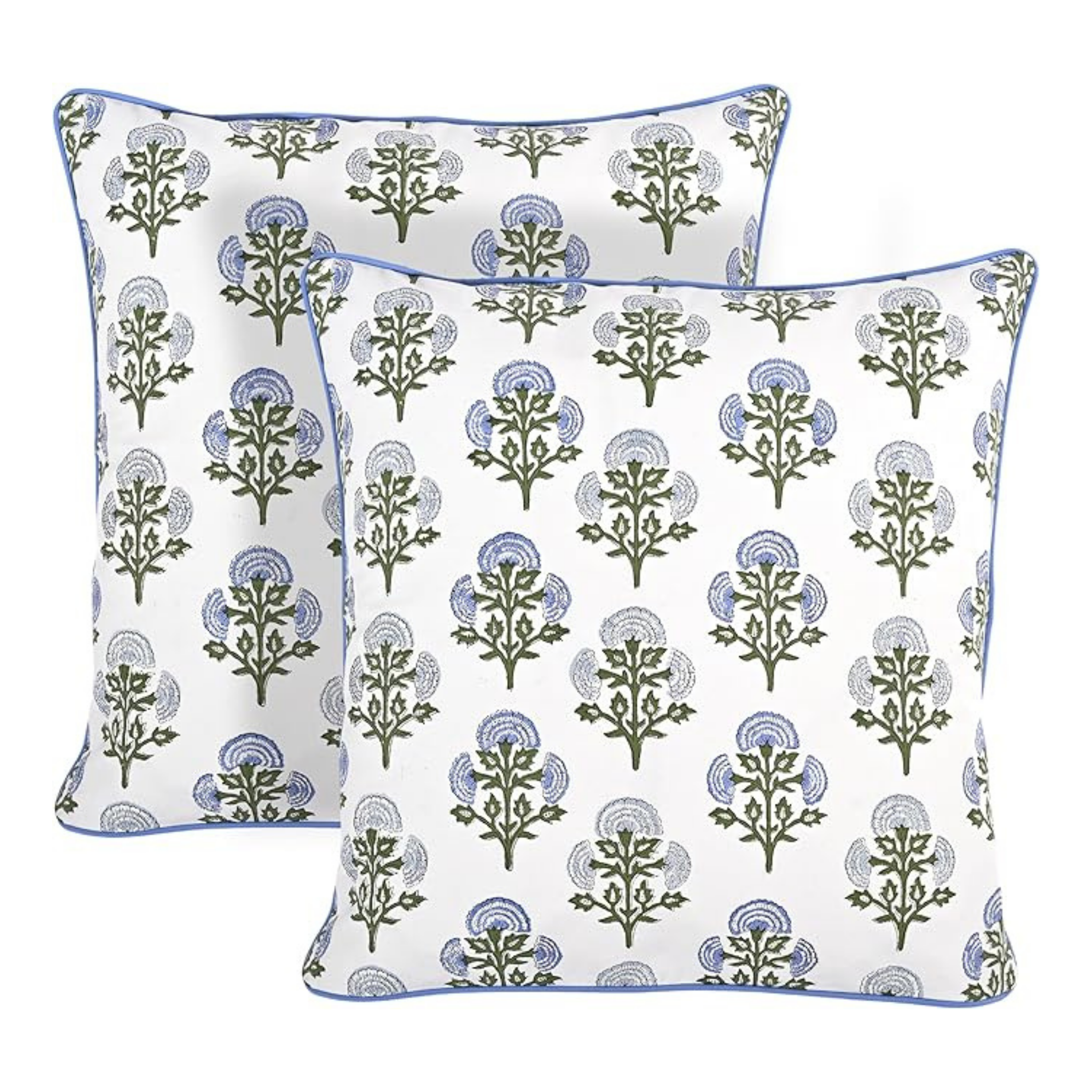 Two decorative pillows with floral pattern on a white background