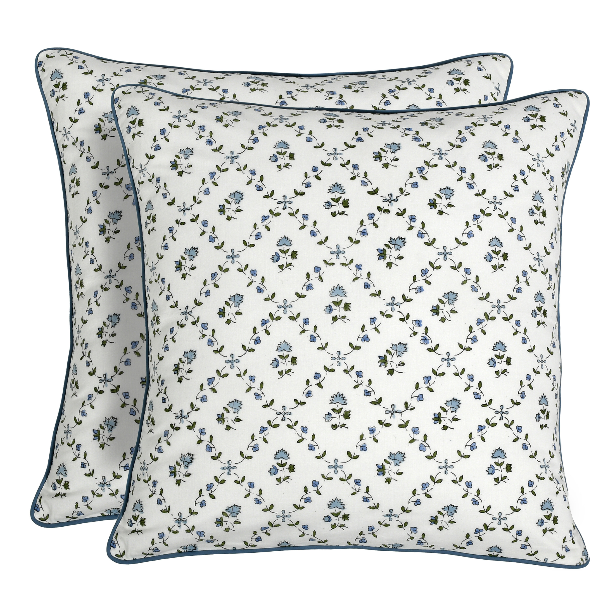 Two floral-patterned pillows on a white background